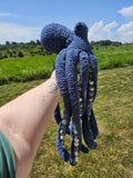 Anchor the Octopus