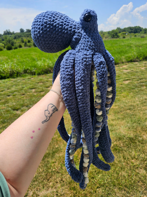 Anchor the Octopus