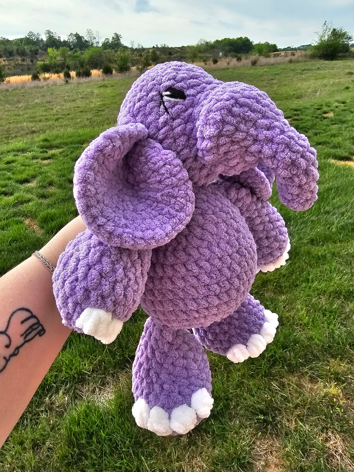 Echo the Purple Elephant