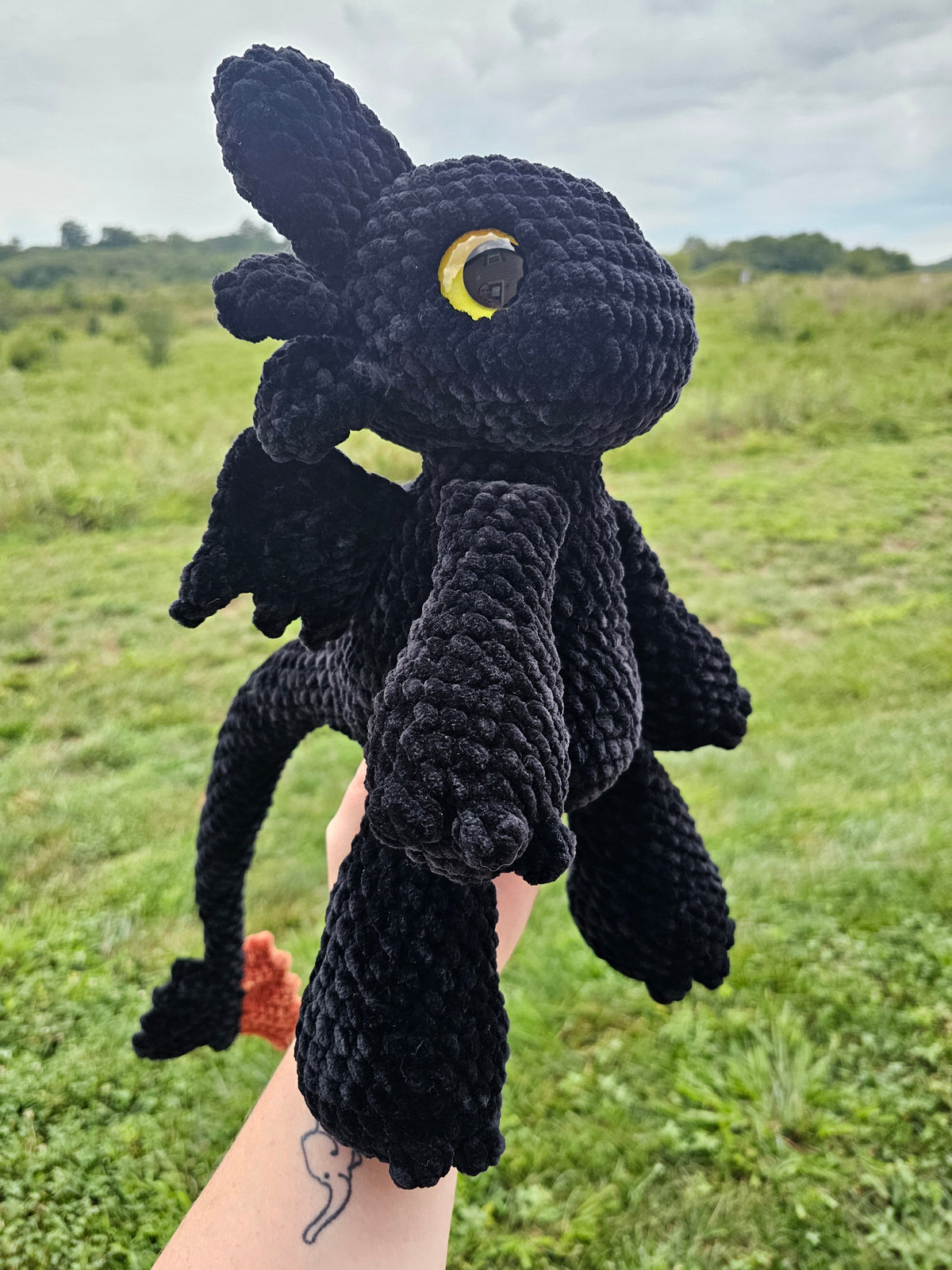 Medium-sized Night Fury