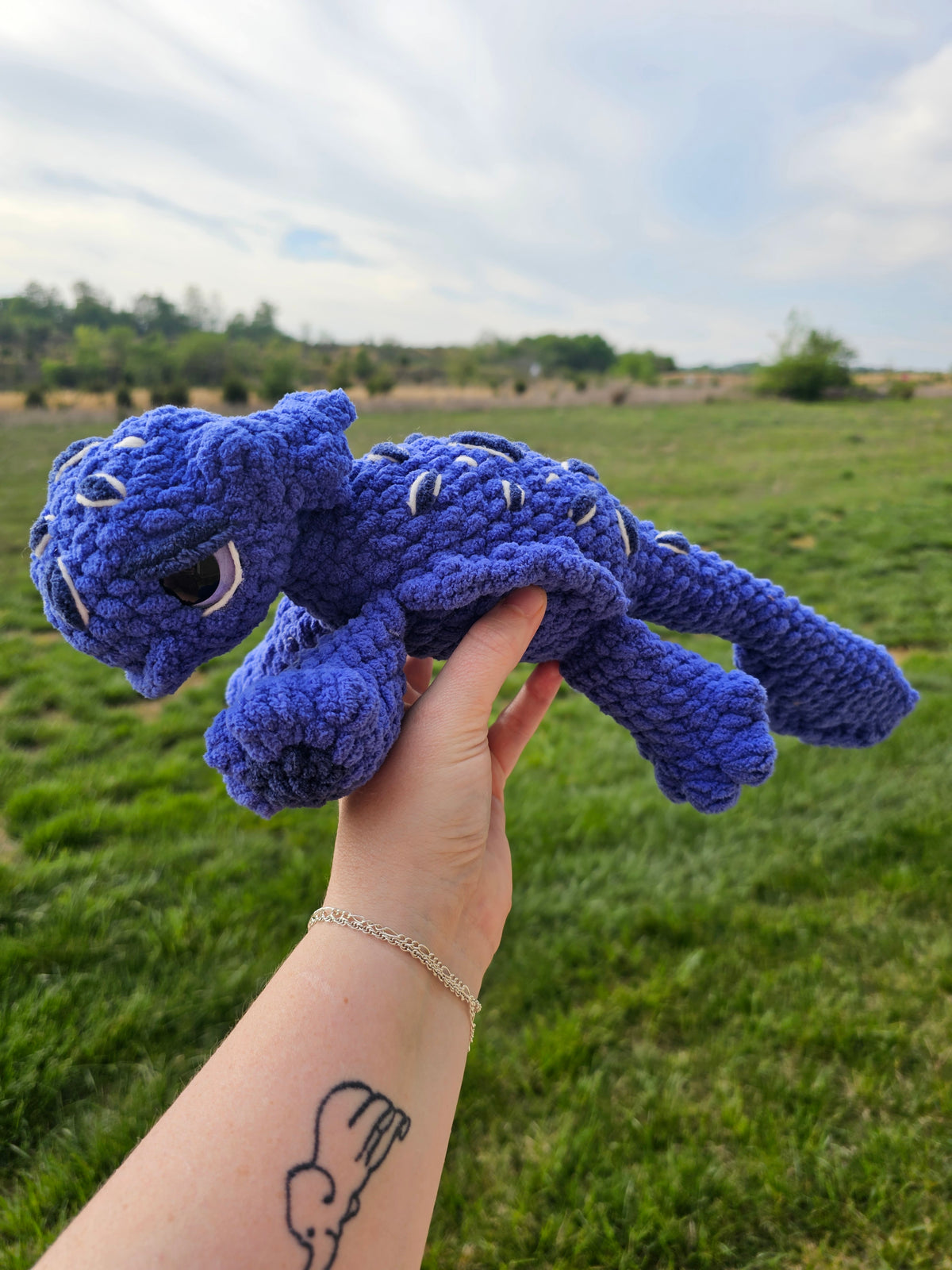 Puddlewick the Water Dragon