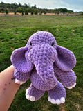 Echo the Purple Elephant
