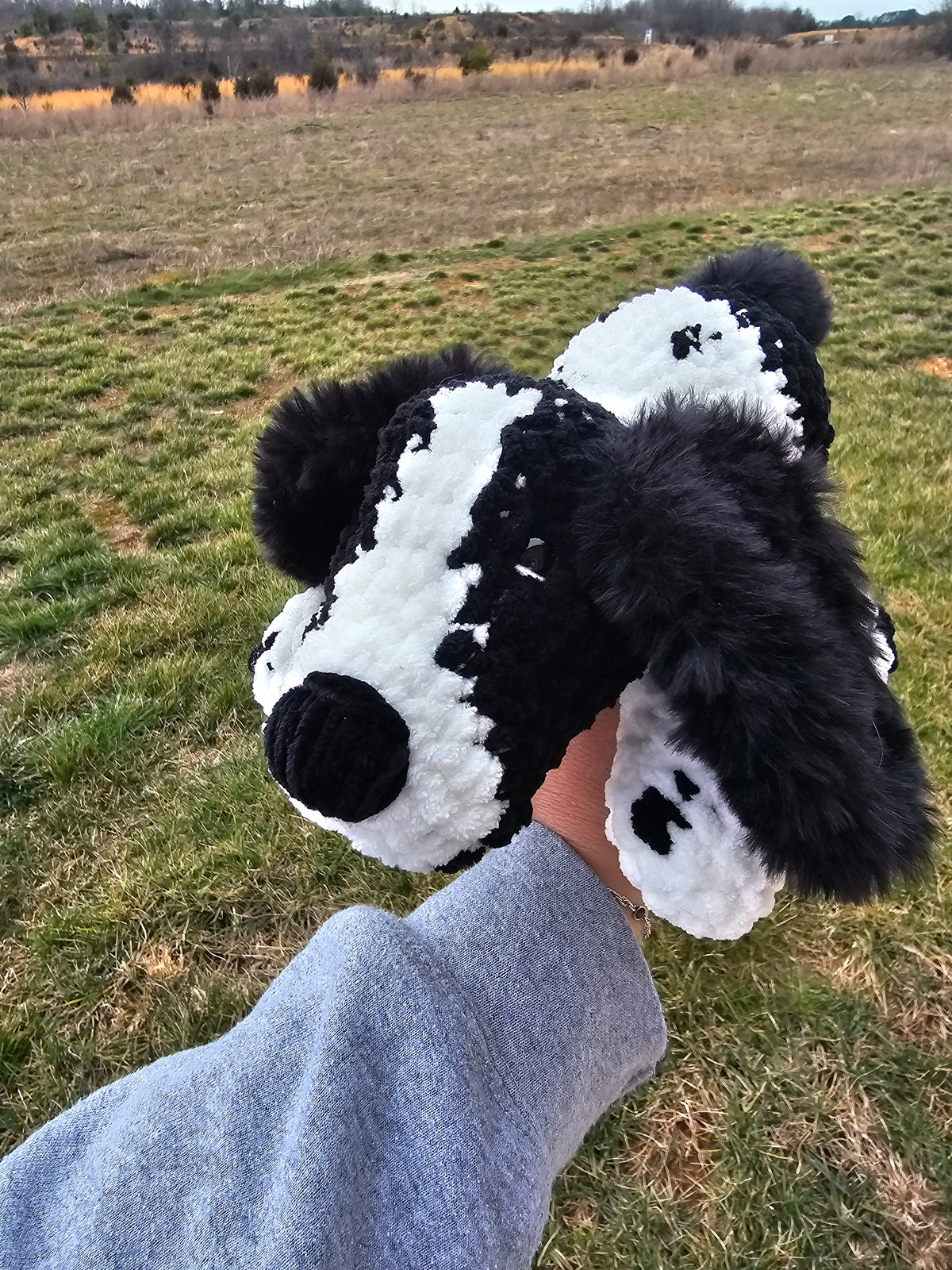 Sawyer the Springer Spaniel