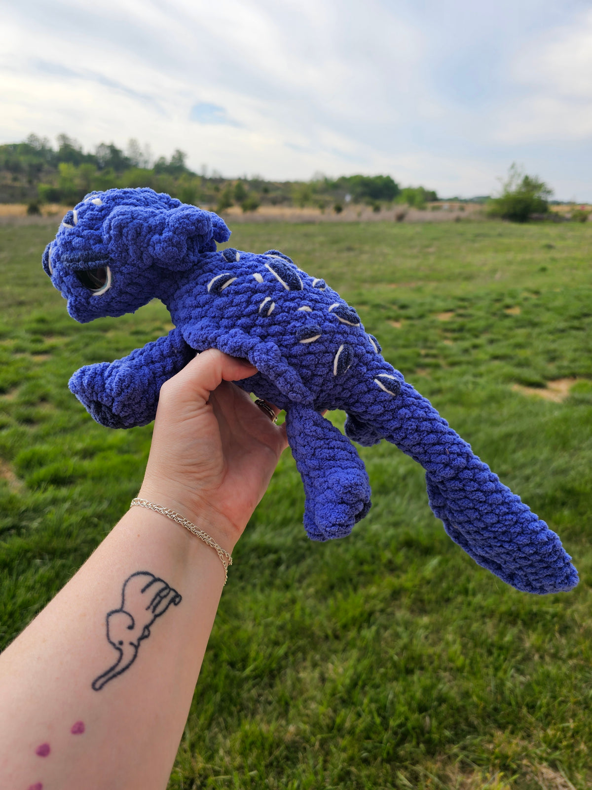 Puddlewick the Water Dragon