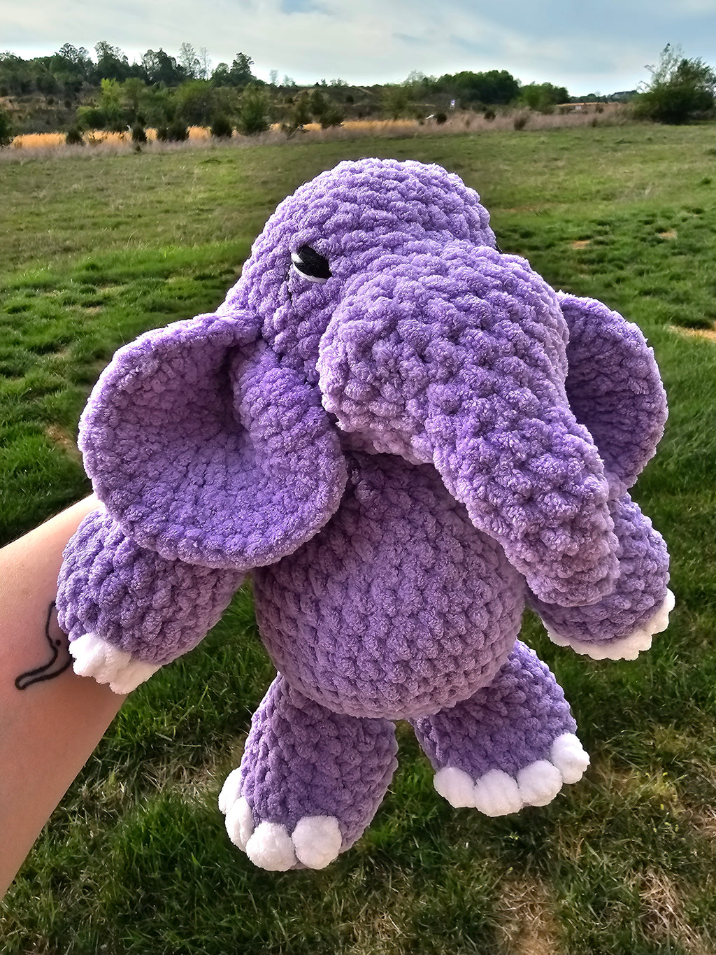 Echo the Purple Elephant