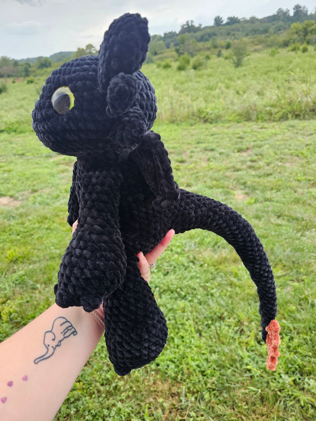 Medium-sized Night Fury